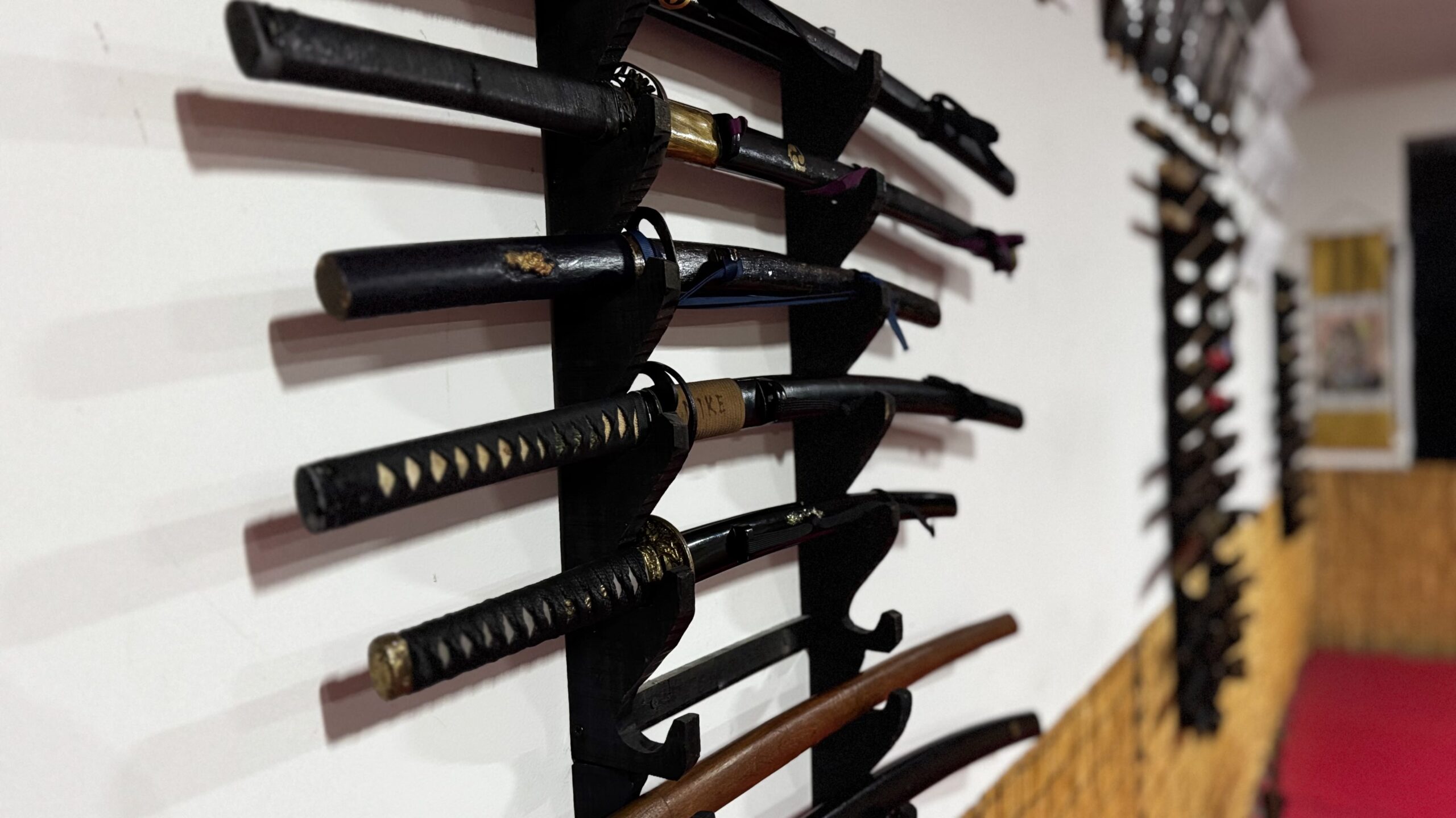 Treinamento de Kenjutsu no Koryu