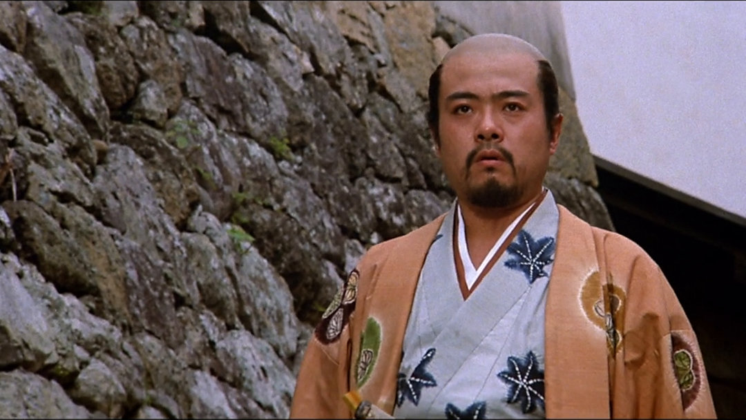 Cinema e TV sobre o Sengoku